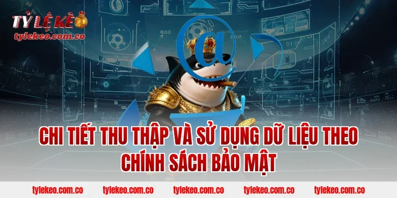 Chi Tiết Thu Thập Và Sử Dụng Dữ Liệu Theo Chính Sách Bảo Mật