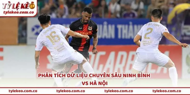 Phân tích dữ liệu chuyên sâu Ninh Bình vs Hà Nội
