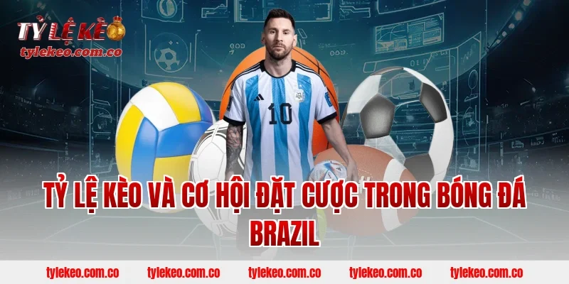 Tỷ lệ kèo và cơ hội đặt cược trong bóng đá Brazil